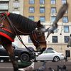 New Deal Would Allow NYC Carriage Horses To Live & Work In Central Park Only
